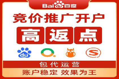 行业领先企业的SEM运营策略案例解析